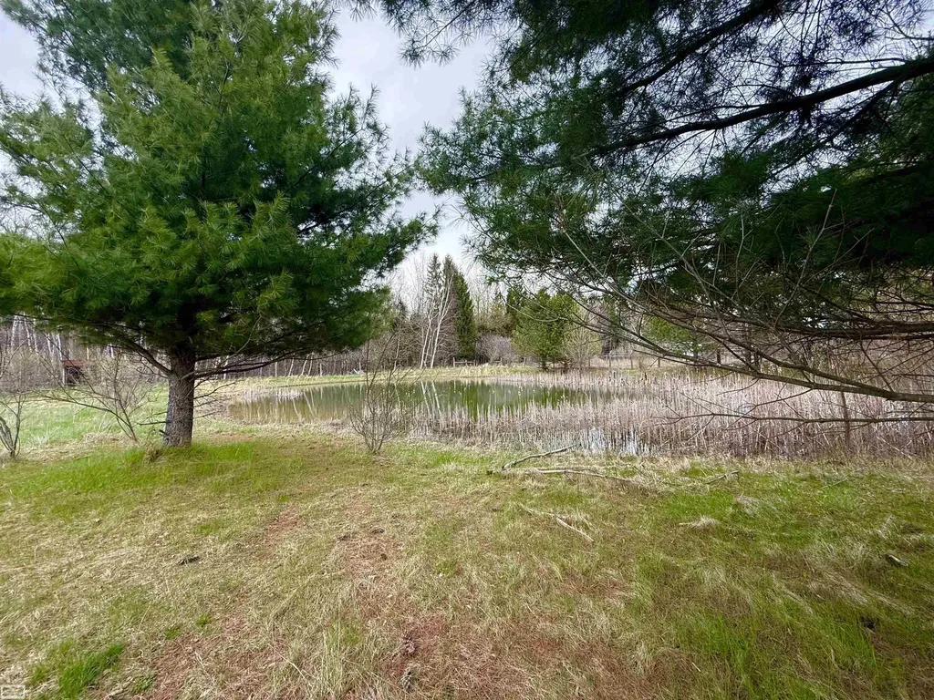 7285 Mayville Road Tuscola Township MI 48453