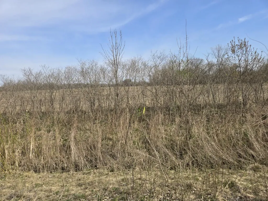 0 Meskill (lot C) Road Columbus Township MI 48063