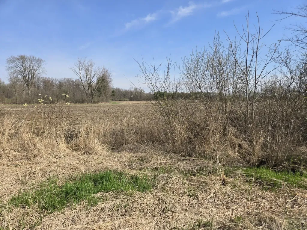 0 Meskill (lot C) Road Columbus Township MI 48063