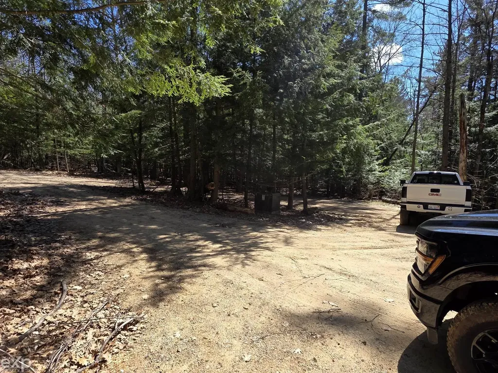 5592 N Bear Lake Trail Rose City City MI 48654
