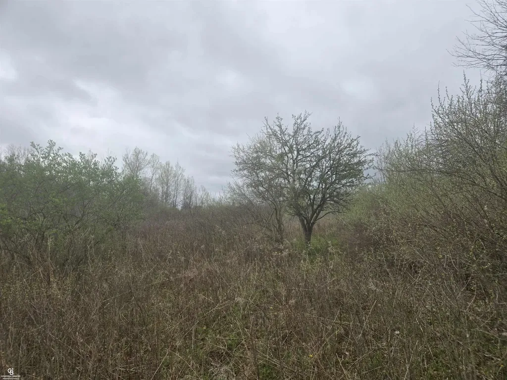 5637 Metcalf Ville Road Clyde Township MI 48049