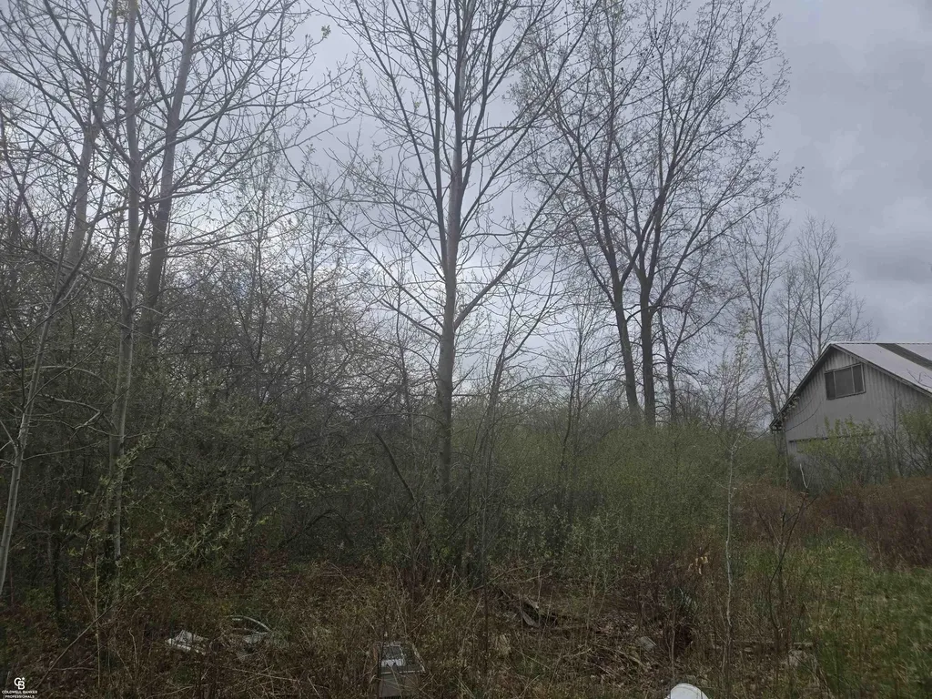 5637 Metcalf Ville Road Clyde Township MI 48049
