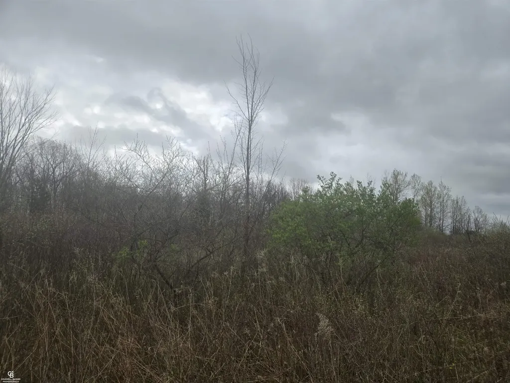 5637 Metcalf Ville Road Clyde Township MI 48049