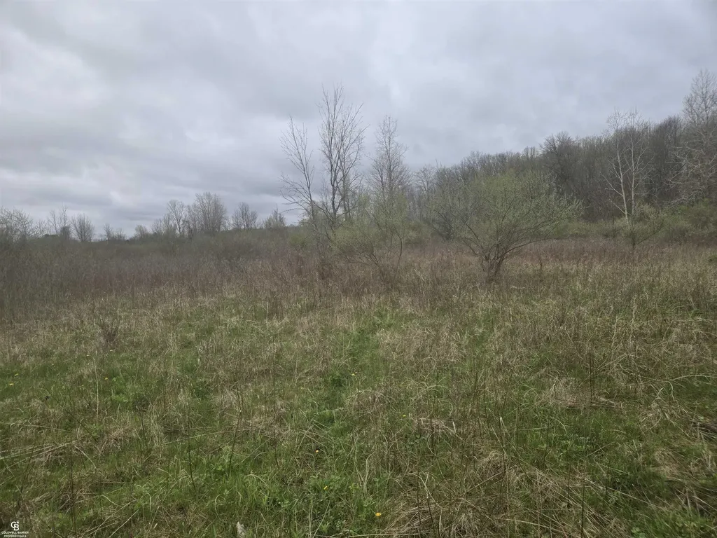 5637 Metcalf Ville Road Clyde Township MI 48049