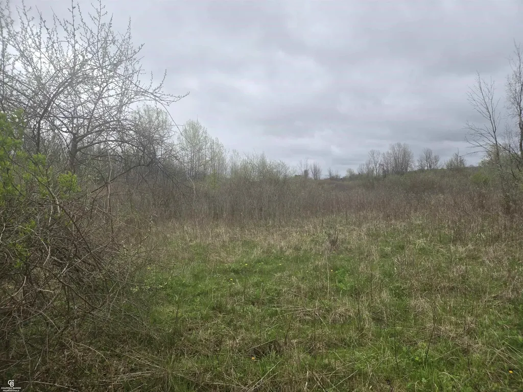 5637 Metcalf Ville Road Clyde Township MI 48049