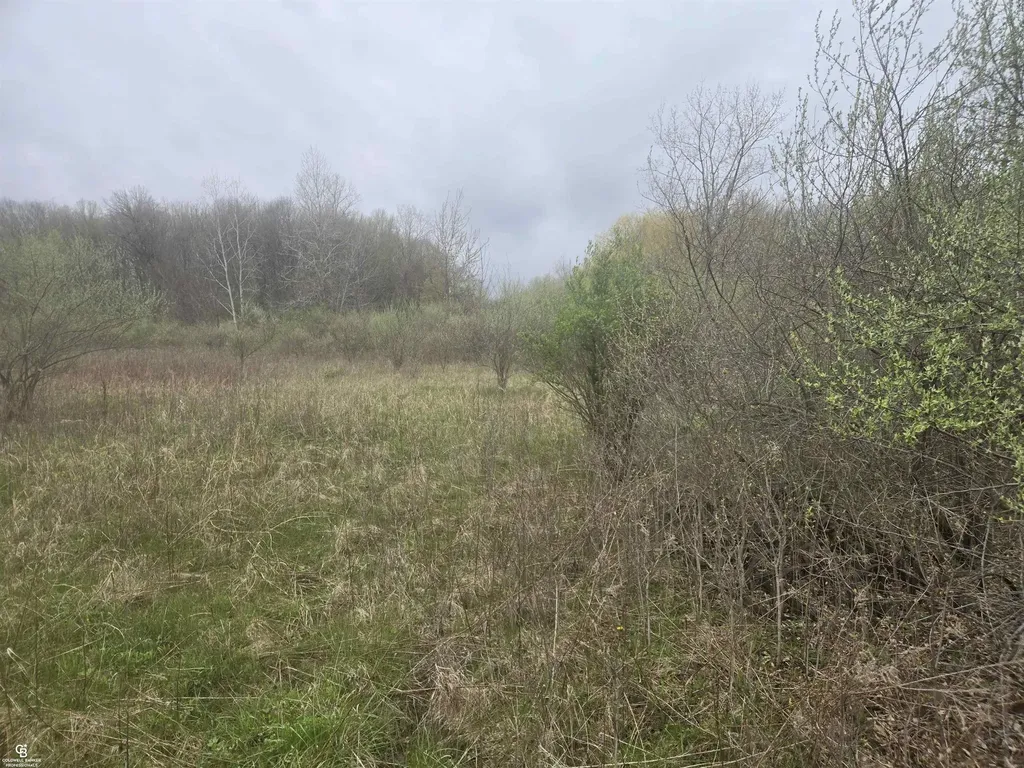 5637 Metcalf Ville Road Clyde Township MI 48049