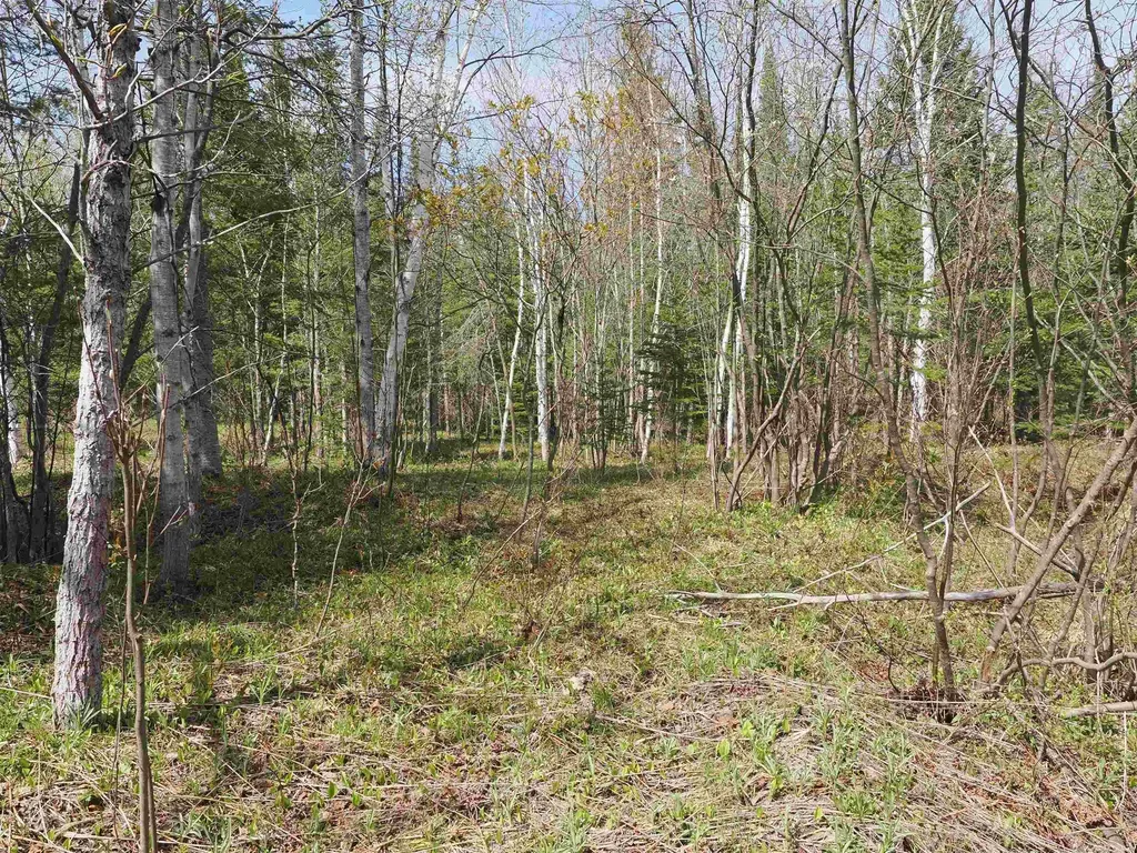 W15598 Hiawatha Trail Newton Township MI 49838