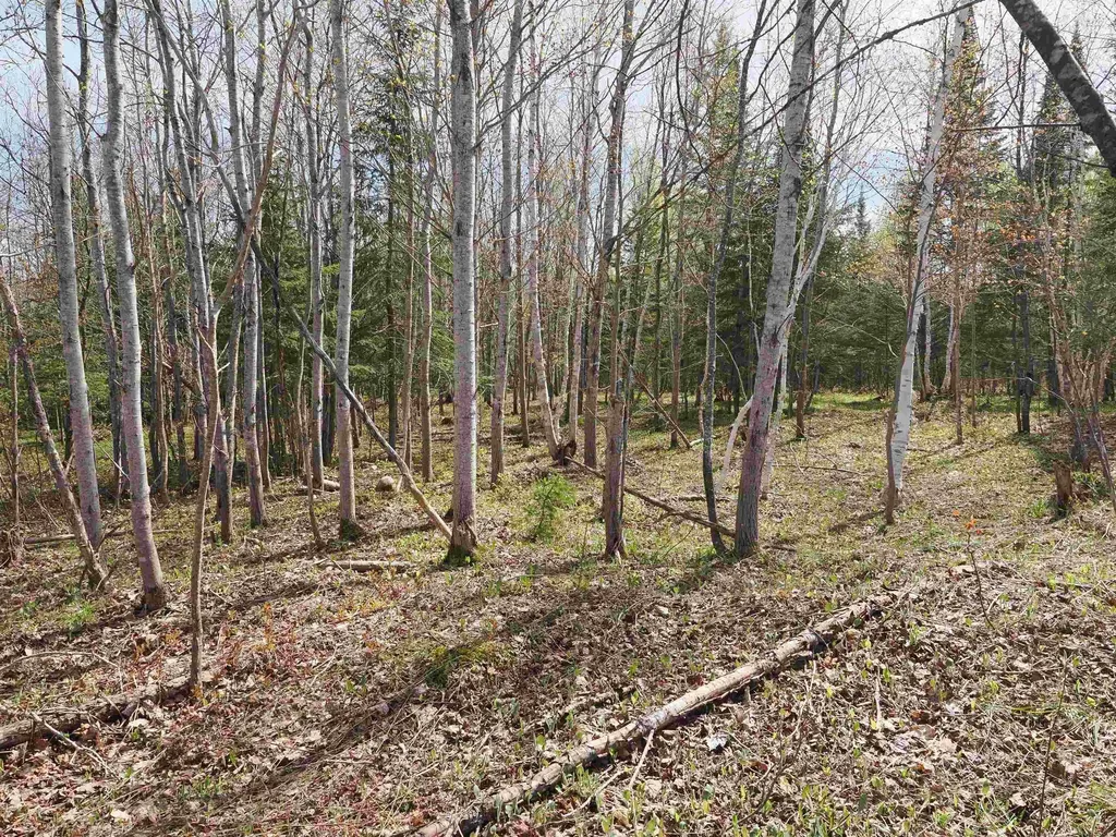 W15598 Hiawatha Trail Newton Township MI 49838
