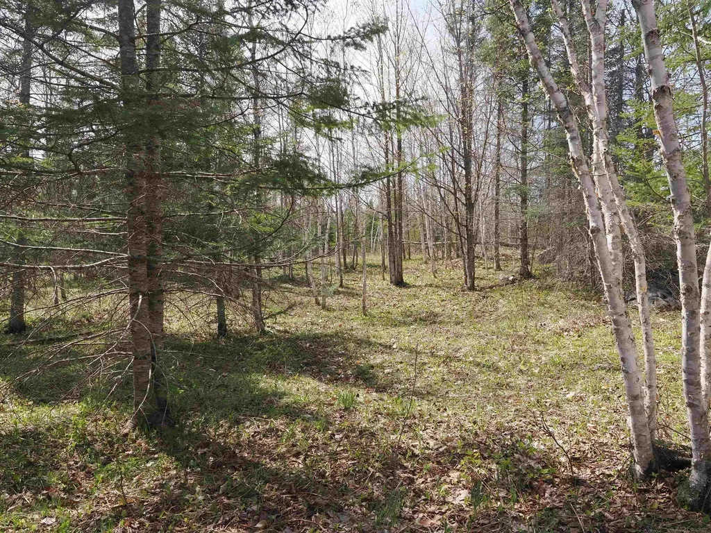 W15598 Hiawatha Trail Newton Township MI 49838