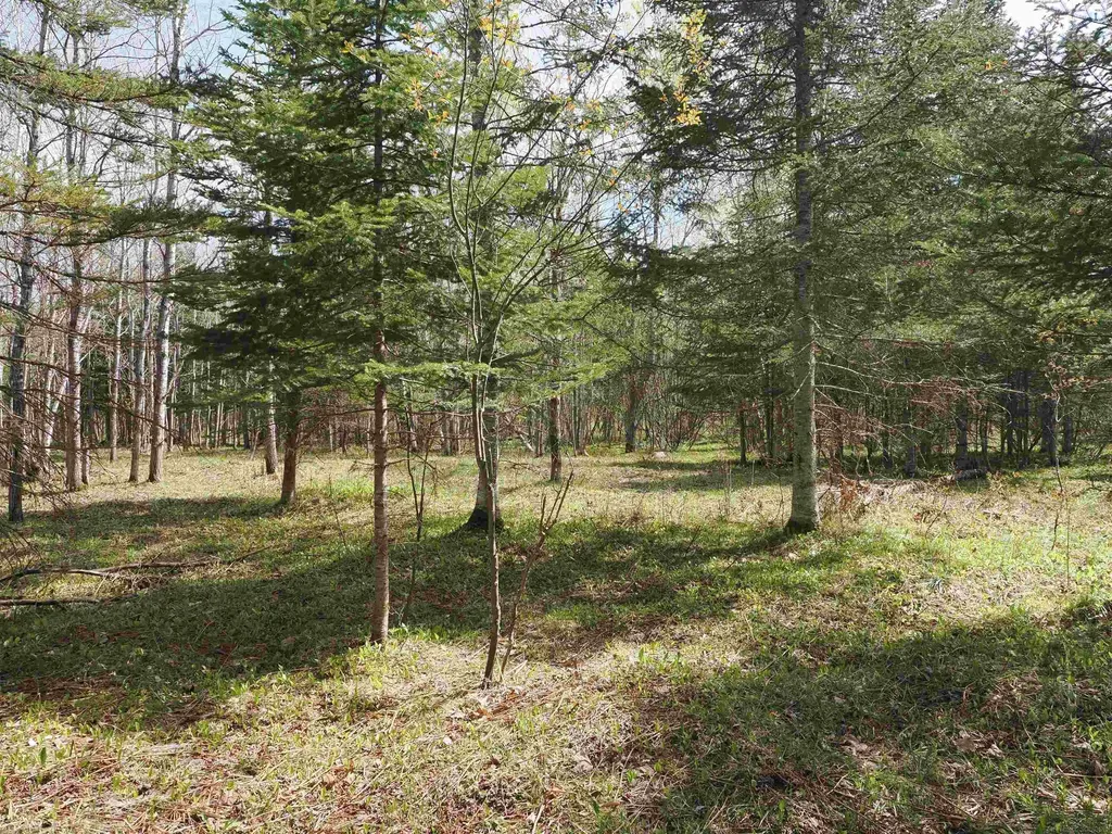 W15598 Hiawatha Trail Newton Township MI 49838