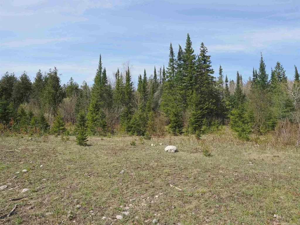 W15598 Hiawatha Trail Newton Township MI 49838