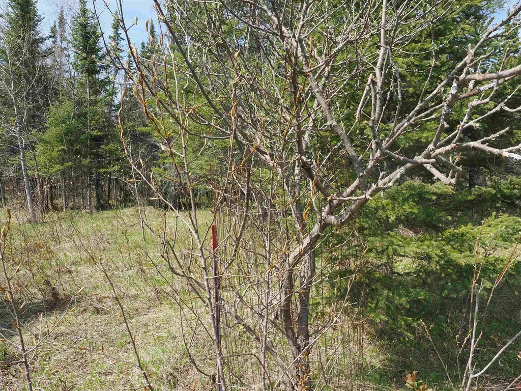 W15598 Hiawatha Trail Newton Township MI 49838