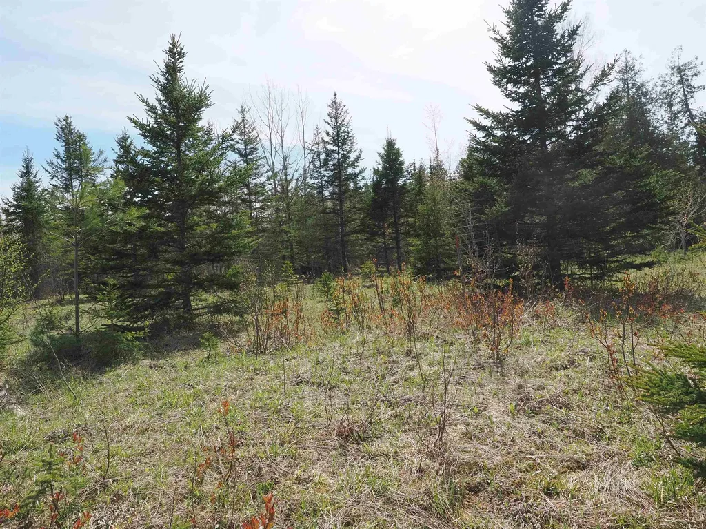 W15598 Hiawatha Trail Newton Township MI 49838