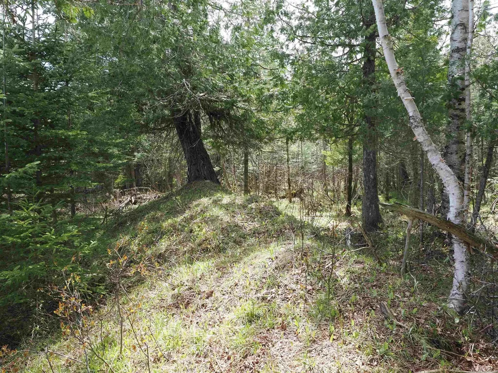 W15598 Hiawatha Trail Newton Township MI 49838