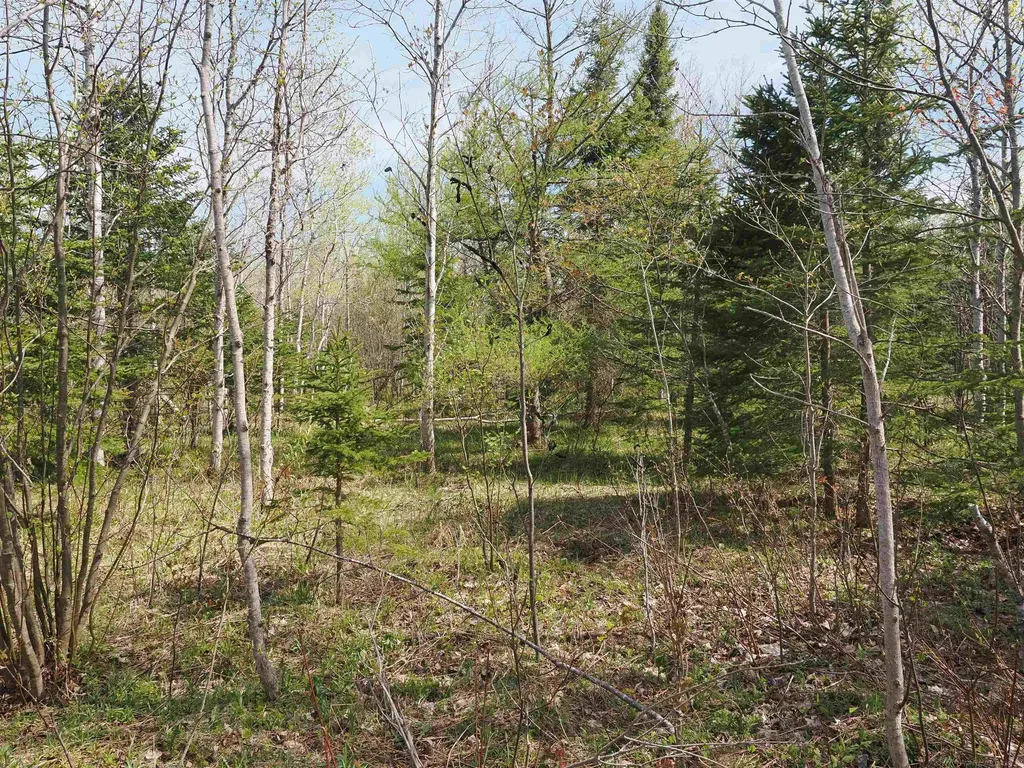 W15598 Hiawatha Trail Newton Township MI 49838