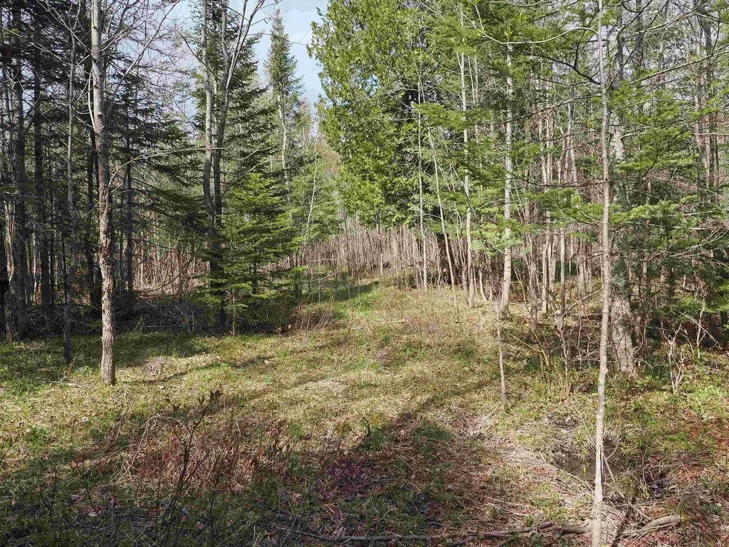 W15598 Hiawatha Trail Newton Township MI 49838