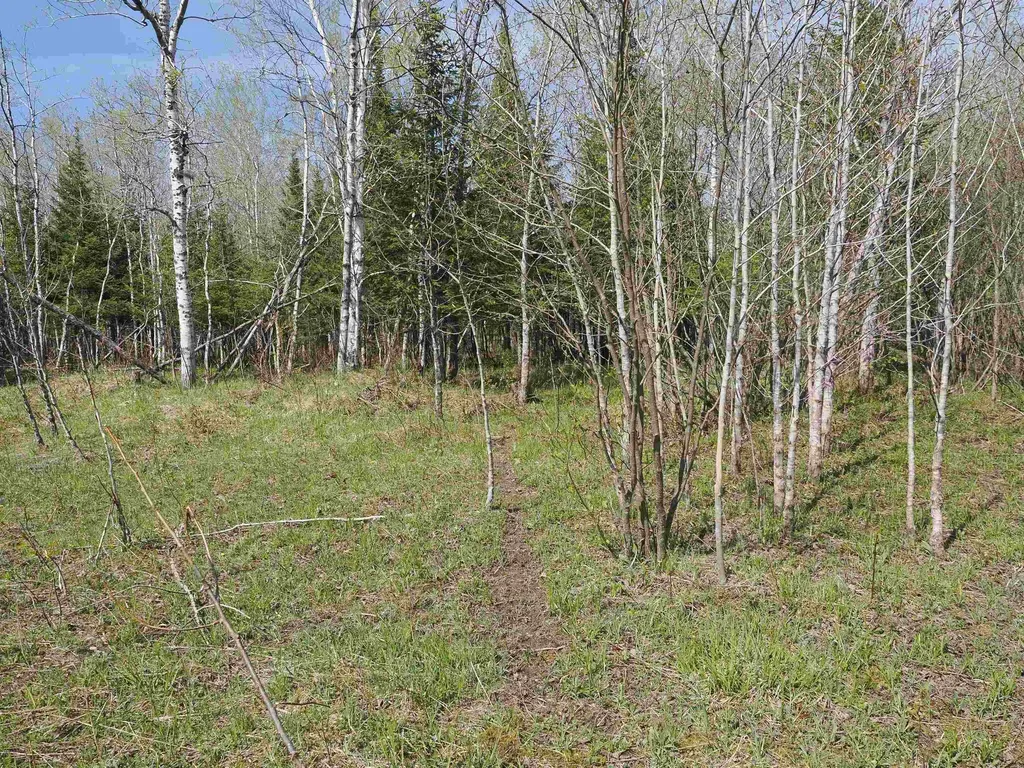 W15598 Hiawatha Trail Newton Township MI 49838