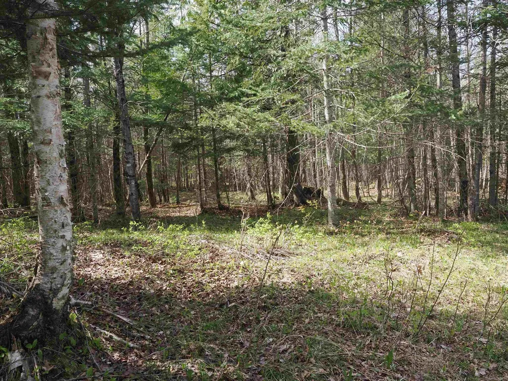 W15598 Hiawatha Trail Newton Township MI 49838