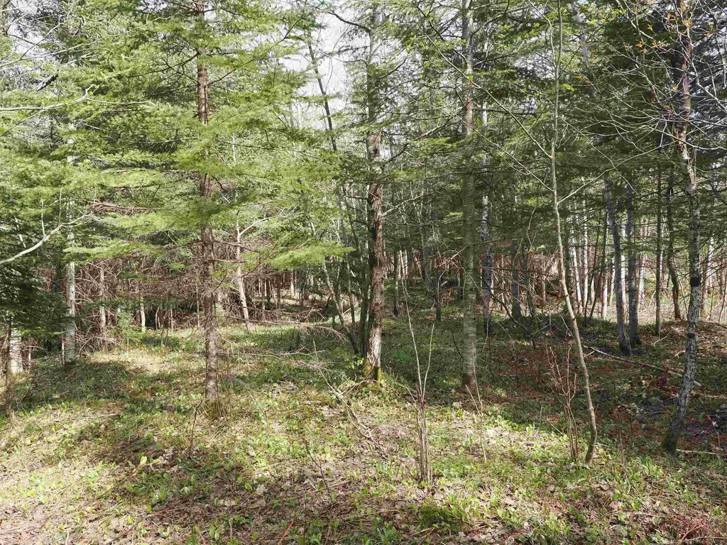 W15598 Hiawatha Trail Newton Township MI 49838