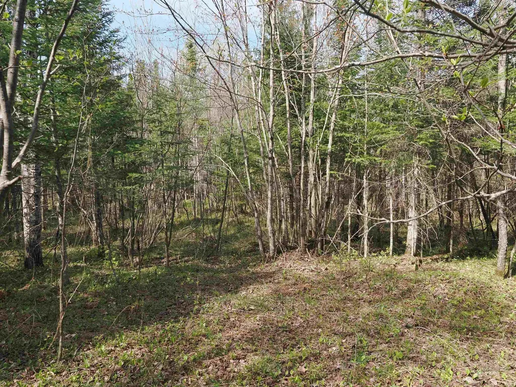 W15598 Hiawatha Trail Newton Township MI 49838