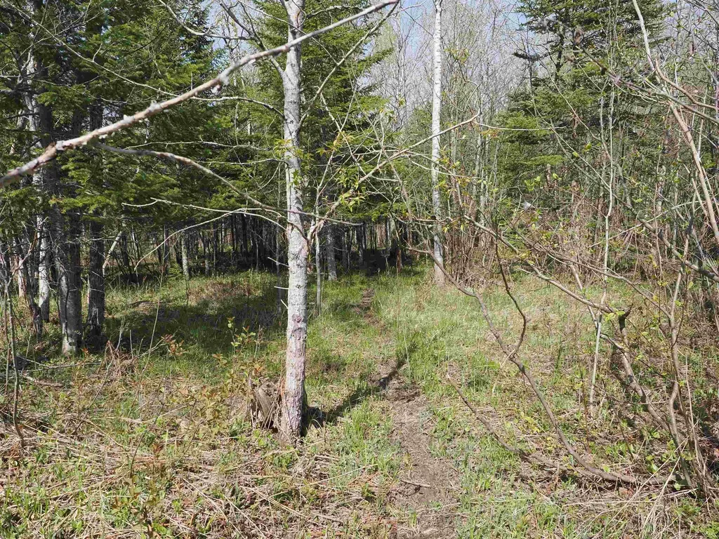 W15598 Hiawatha Trail Newton Township MI 49838