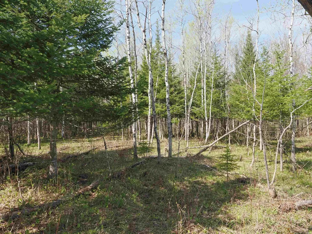 W15598 Hiawatha Trail Newton Township MI 49838