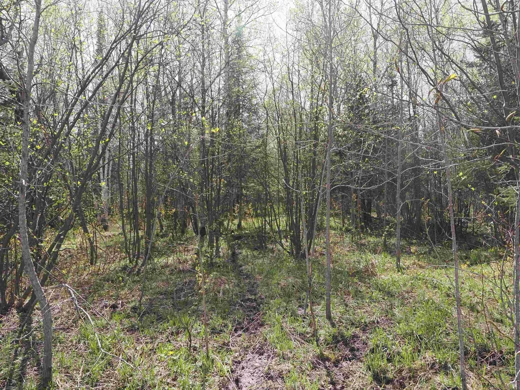 W15598 Hiawatha Trail Newton Township MI 49838