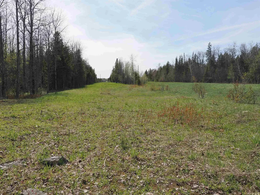 W15598 Hiawatha Trail Newton Township MI 49838