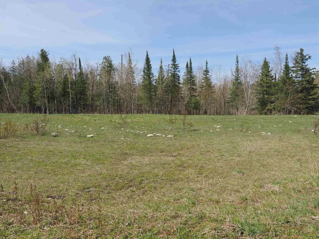 W15598 Hiawatha Trail Newton Township MI 49838