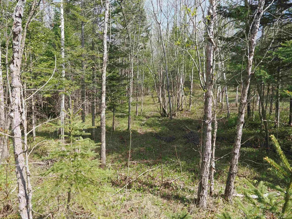 W15598 Hiawatha Trail Newton Township MI 49838