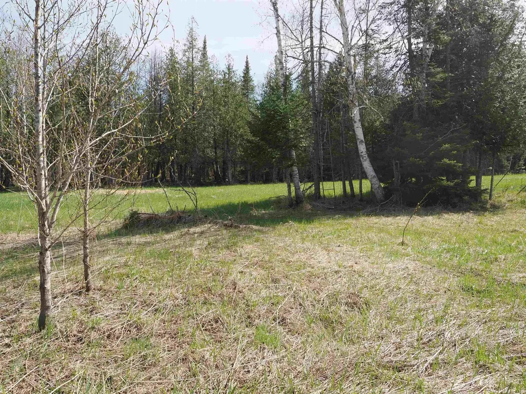 W15598 Hiawatha Trail Newton Township MI 49838