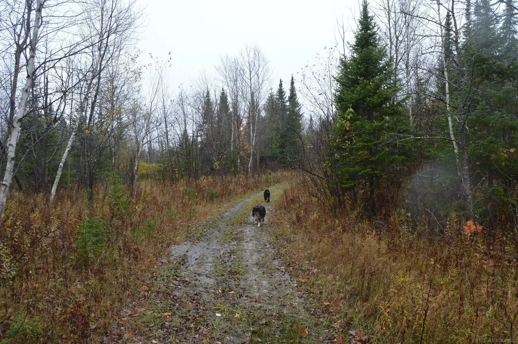 W15598 Hiawatha Trail Newton Township MI 49838