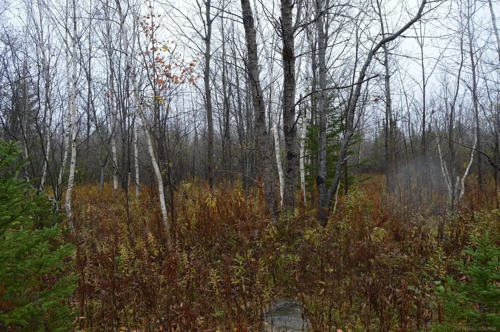 W15598 Hiawatha Trail Newton Township MI 49838
