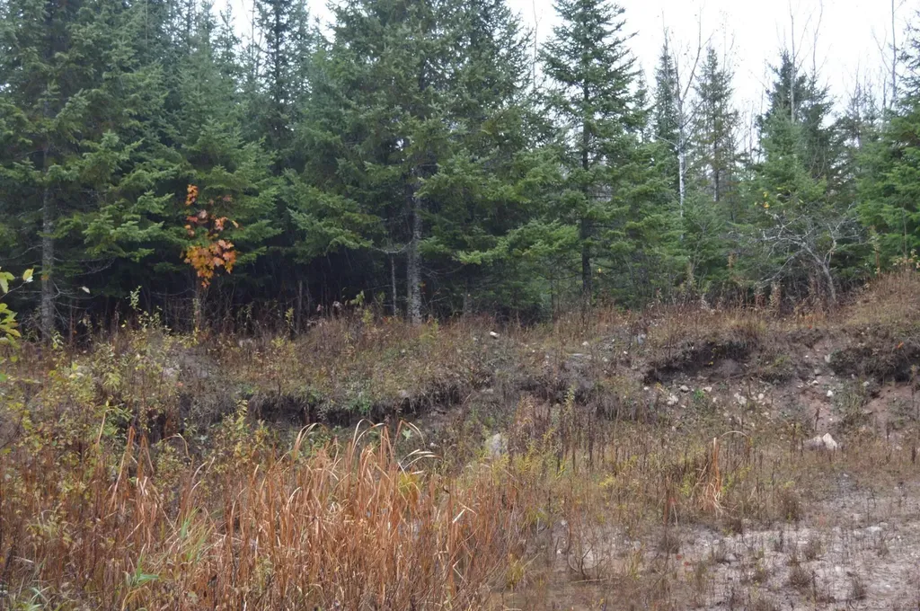 W15598 Hiawatha Trail Newton Township MI 49838