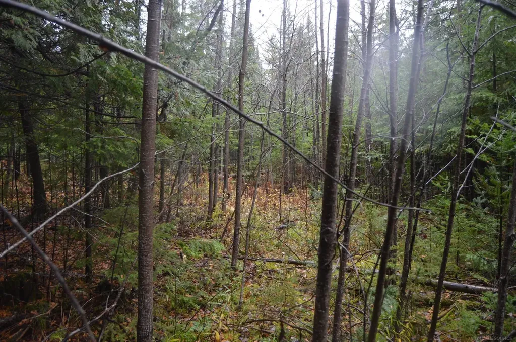 W15598 Hiawatha Trail Newton Township MI 49838