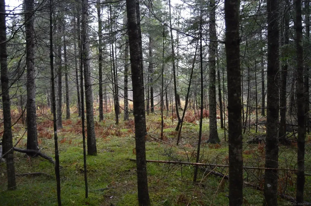 W15598 Hiawatha Trail Newton Township MI 49838