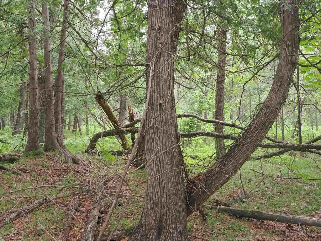 W15598 Hiawatha Trail Newton Township MI 49838
