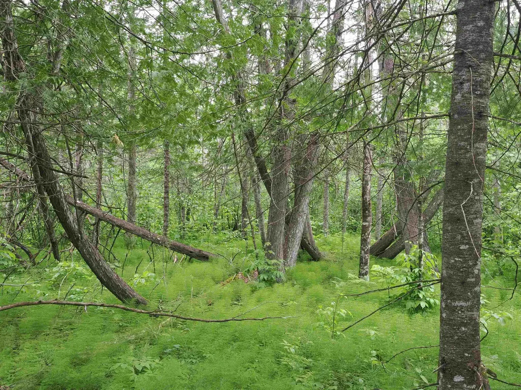 W15598 Hiawatha Trail Newton Township MI 49838