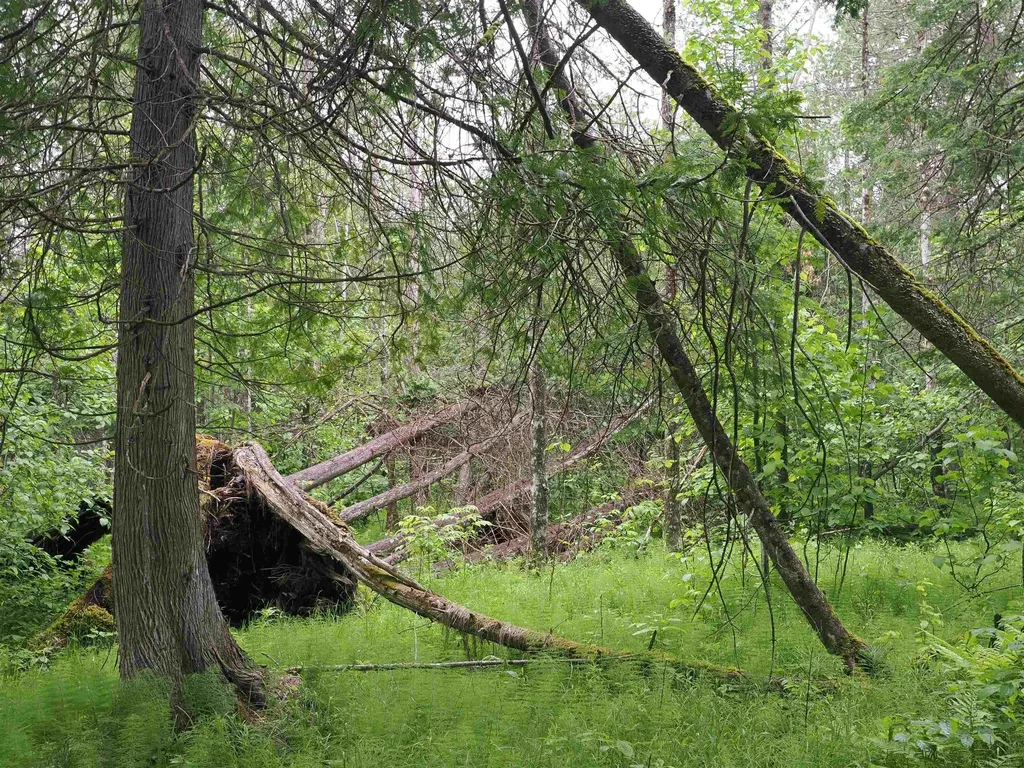 W15598 Hiawatha Trail Newton Township MI 49838