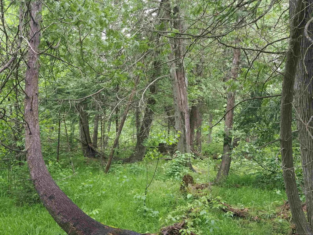 W15598 Hiawatha Trail Newton Township MI 49838