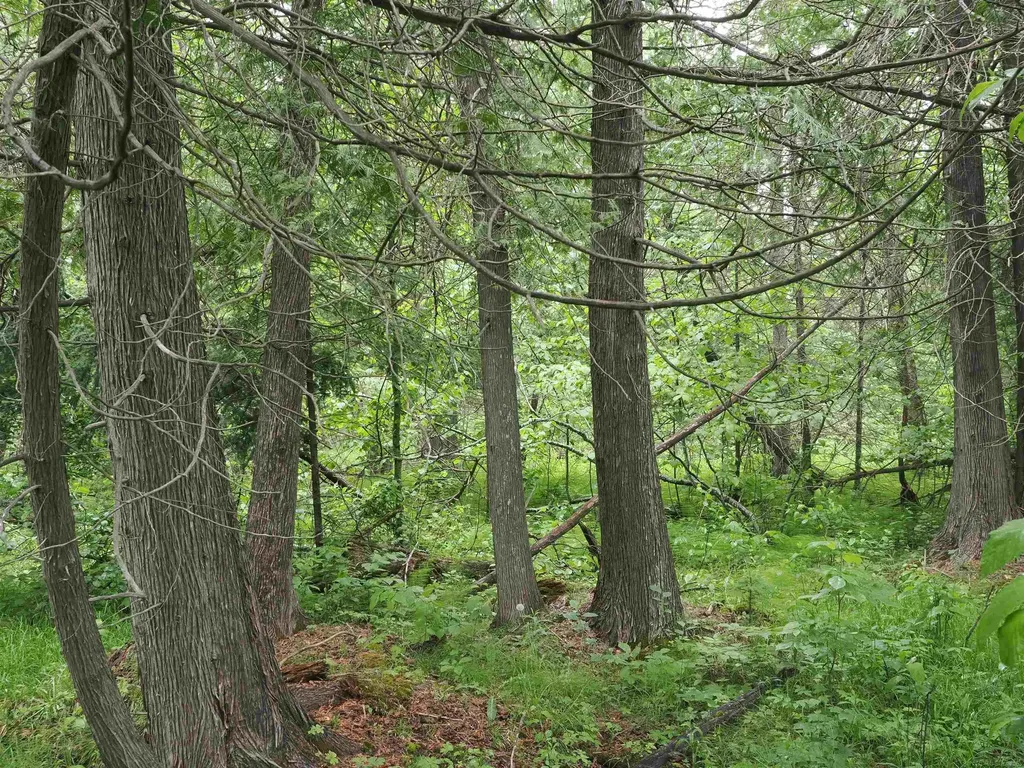 W15598 Hiawatha Trail Newton Township MI 49838