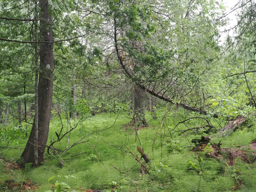 W15598 Hiawatha Trail Newton Township MI 49838