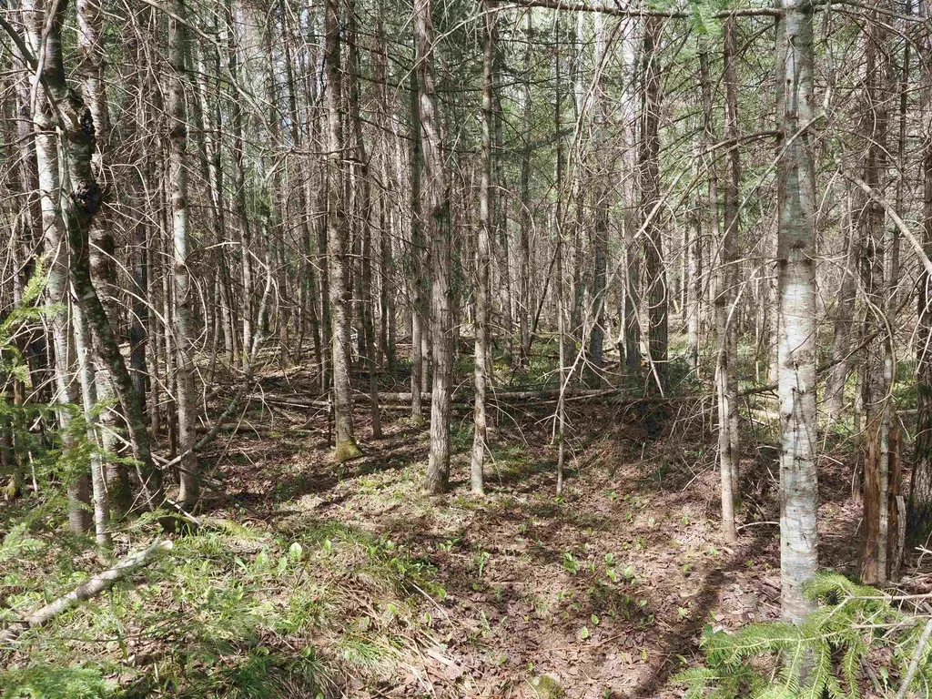 W15598 Hiawatha Trail Newton Township MI 49838