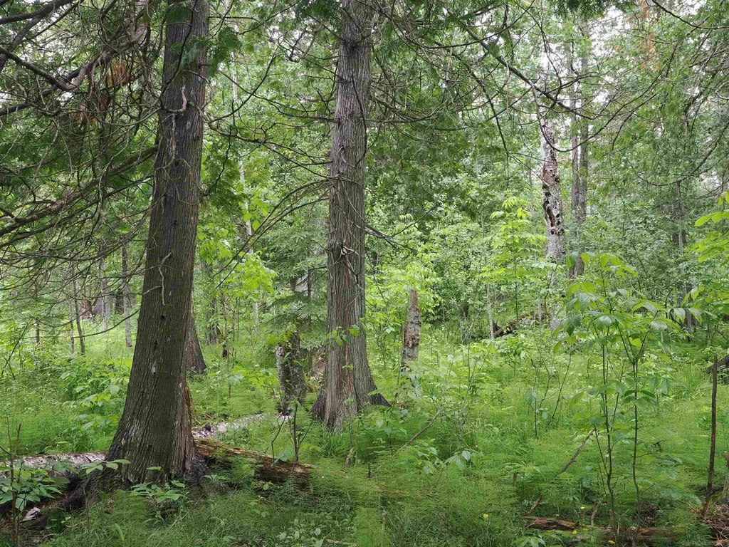 W15598 Hiawatha Trail Newton Township MI 49838