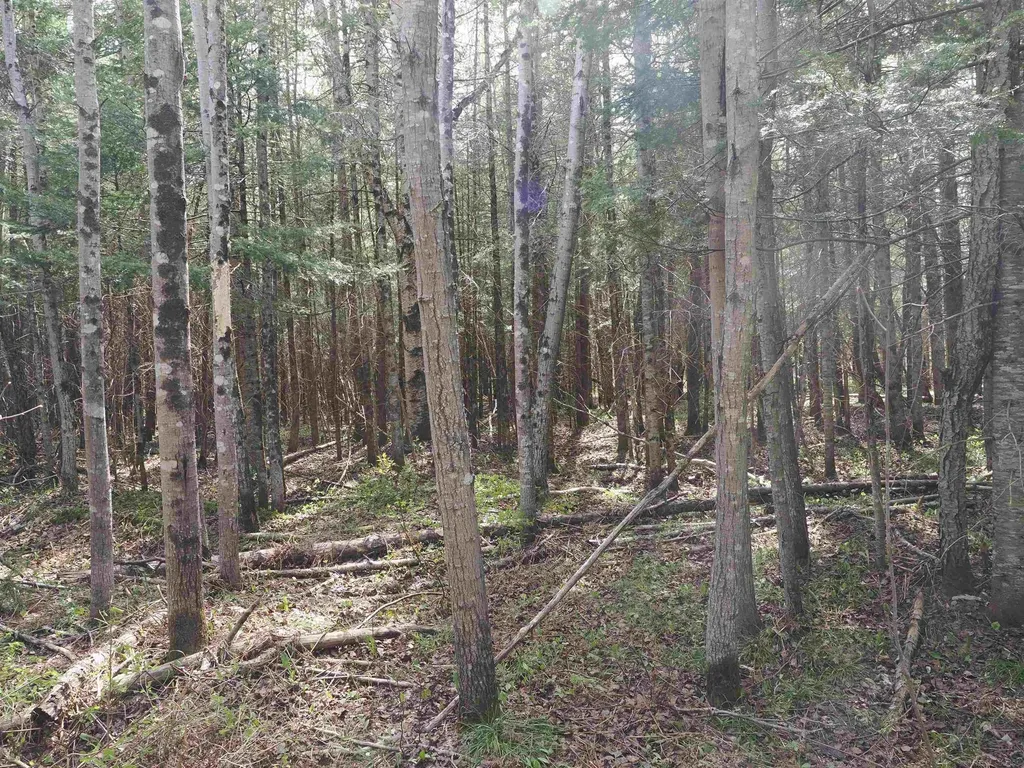 W15598 Hiawatha Trail Newton Township MI 49838