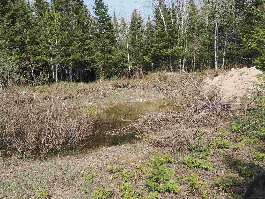 W15598 Hiawatha Trail Newton Township MI 49838