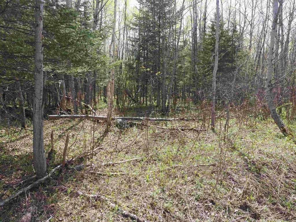 W15598 Hiawatha Trail Newton Township MI 49838