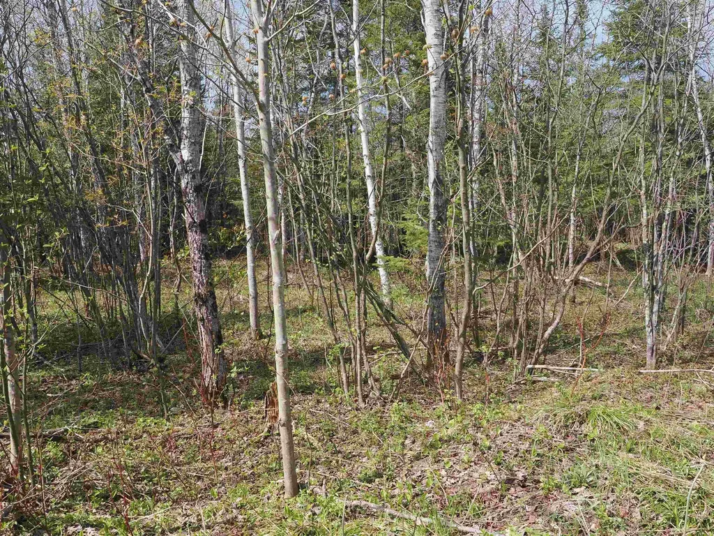 W15598 Hiawatha Trail Newton Township MI 49838