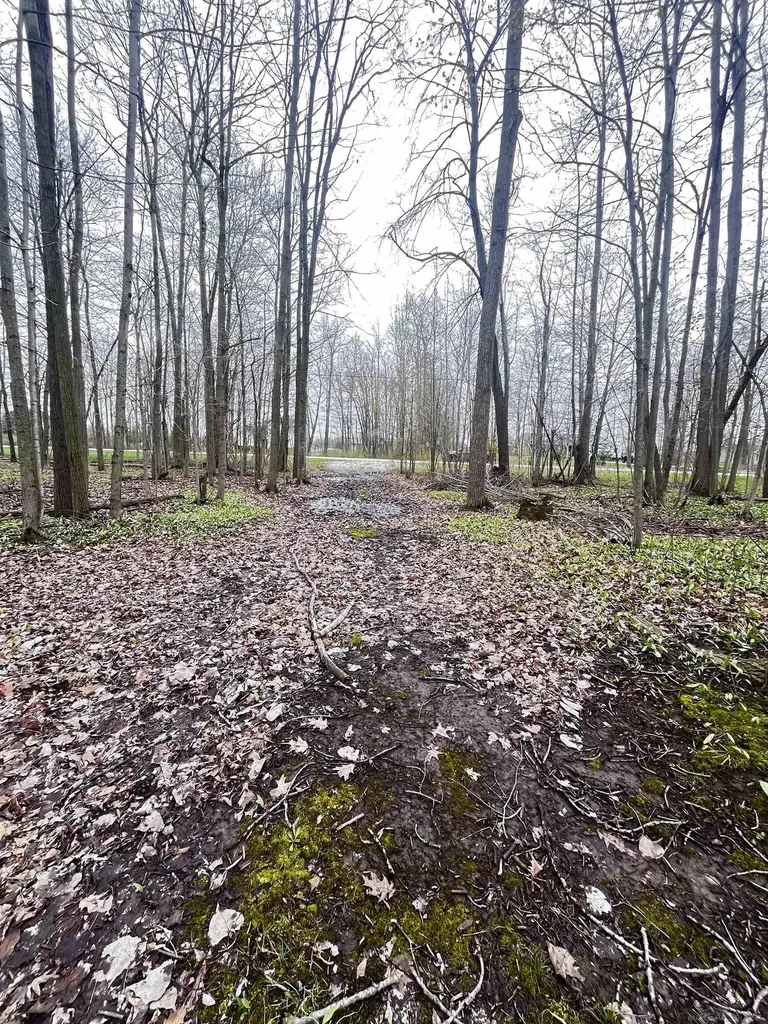 Fox Ridge Lane Berlin Township MI 48002