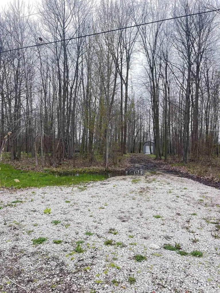 Fox Ridge Lane Berlin Township MI 48002